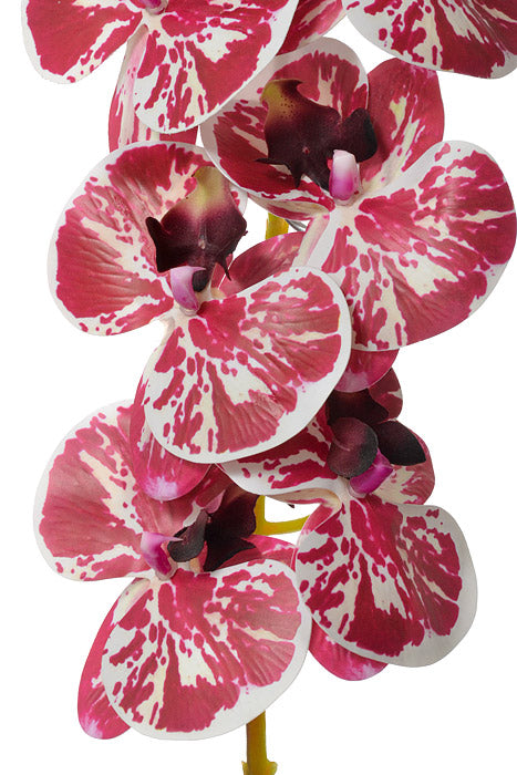 45" Silk Phalaenopsis Spray Orchid/White