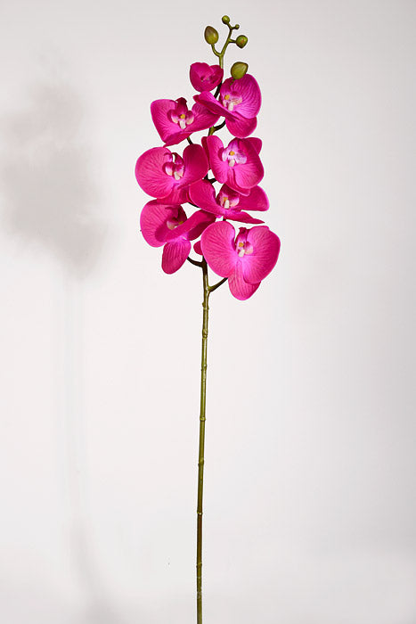 39.5" Silk Phalaenopsis Spray Hot Pink