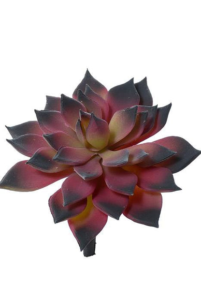 3.5" Artificial Mini Echeveria Cactus  Burgundy/green