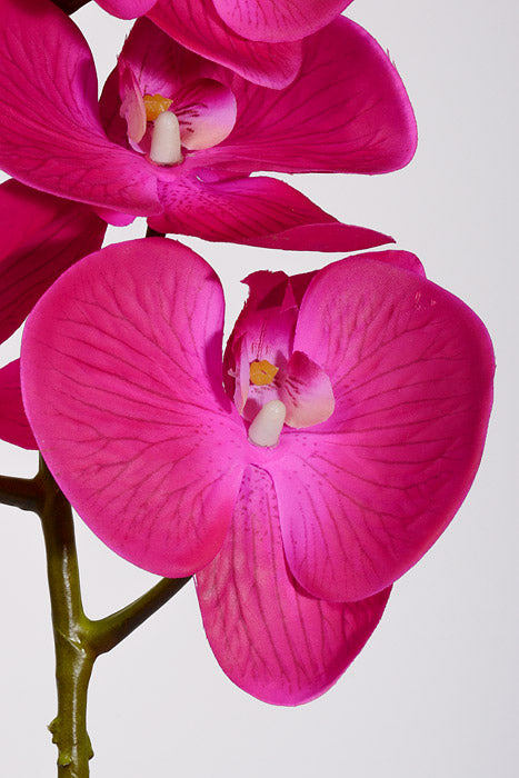 39.5" Silk Phalaenopsis Spray Hot Pink