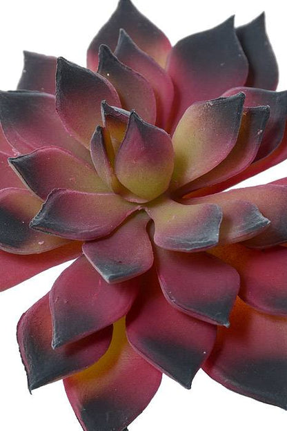 3.5" Artificial Mini Echeveria Cactus  Burgundy/green