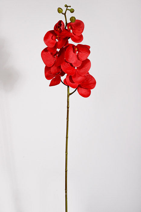 39.5" Silk Phalaenopsis Spray Red