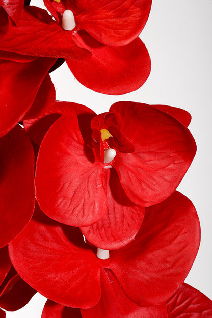 39.5" Silk Phalaenopsis Spray Red