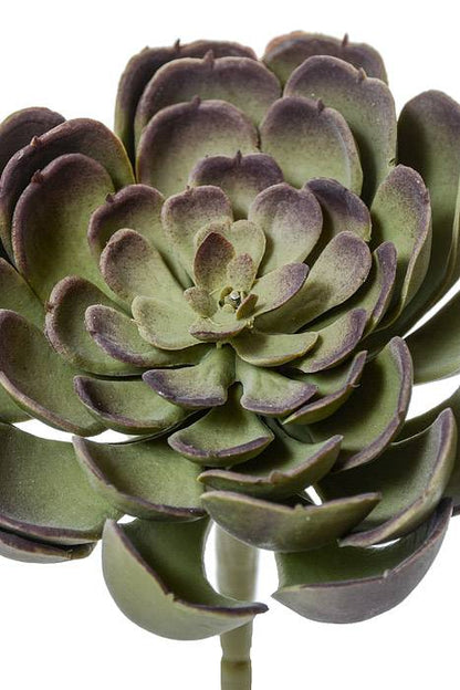 4" Artificial Echeveria Pick Green/burgundy