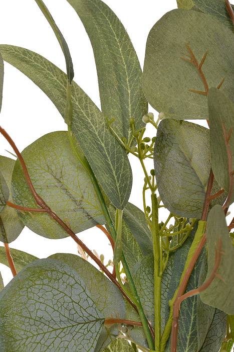 20" Willow Eucalyptus Bush Green