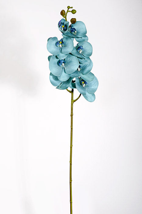 39.5" Silk Phalaenopsis Spray Aqua Sage