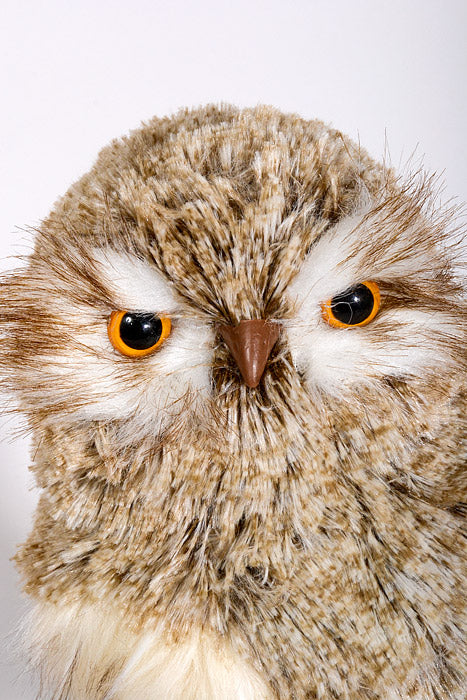 11.5" Winter Chalet Feather Owl Natural Cream
