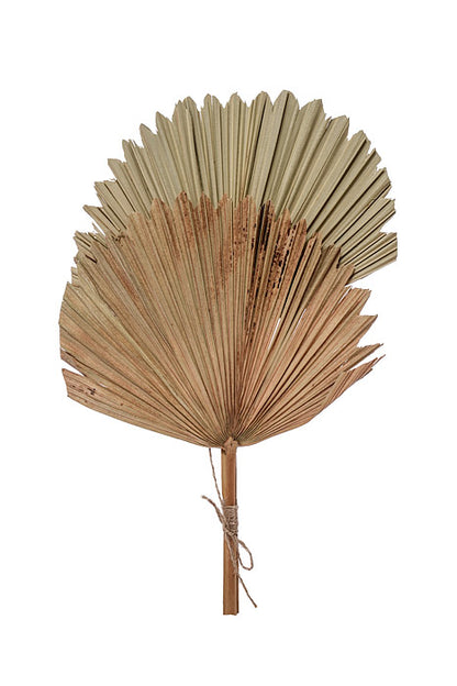 15.35" Fan Palm Leaf Bundle Cream