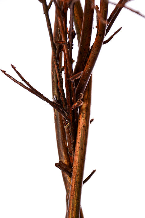 69" Twig Spray Toffee