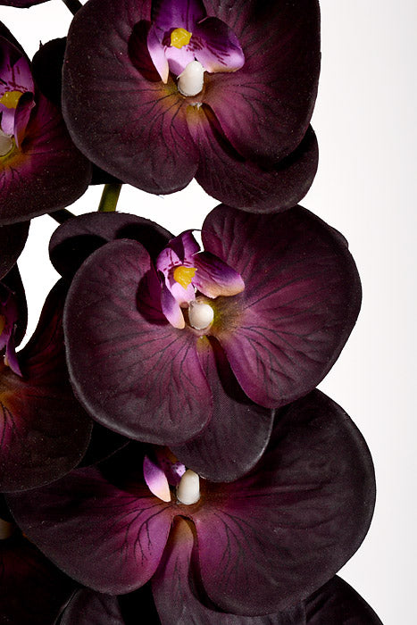 39.5" Silk Phalaenopsis Spray Plum