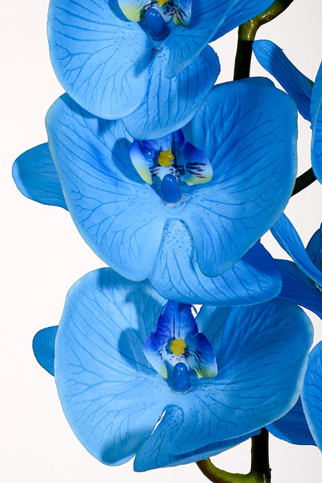 39.5" Silk Phalaenopsis Spray Blue