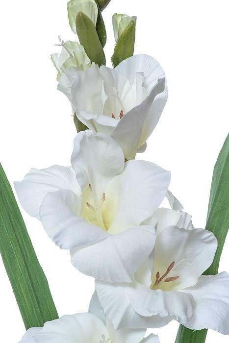 33" Silk Gladiolus Spray Cream
