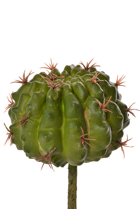 7" Barrel Cactus Pick Green