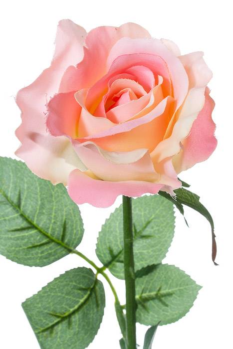 26" Half Open Rose Spray Pink Pkg/12