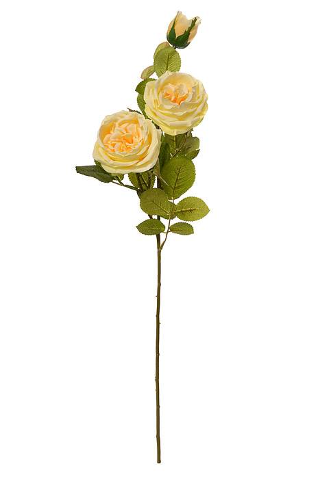 30" Silk Austin Rose Yellow