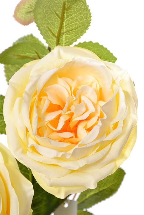 30" Silk Austin Rose Yellow