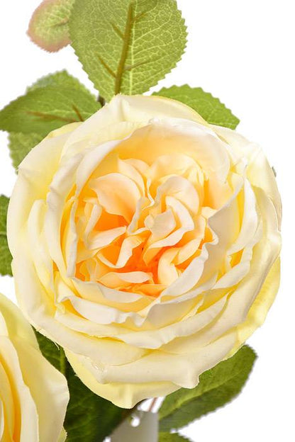 30" Silk Austin Rose Yellow