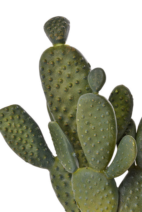 10.5" Pear Cactus Pick Green/Gray
