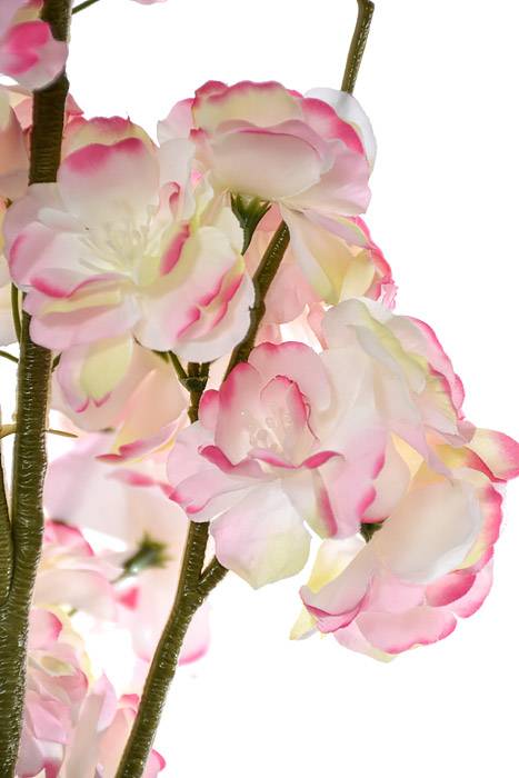 50" Cherry Blossom Pink