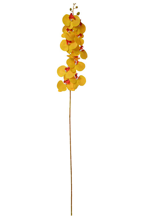 45" Silk Phalaenopsis Spray Yellow