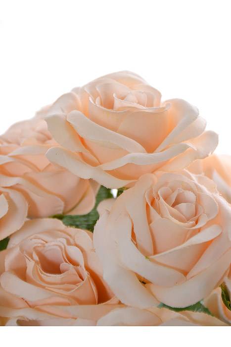 22" Silk Mirco Peach Rose Bush Beige