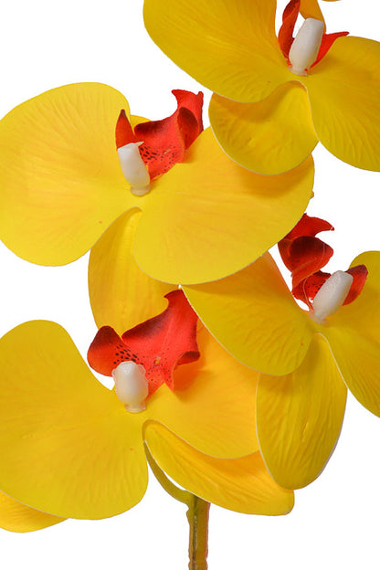 45" Silk Phalaenopsis Spray Yellow