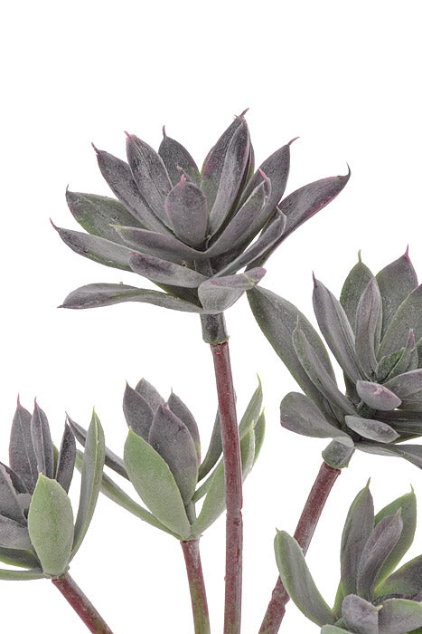 11" Plastic Sedum Stem Green/Frosted