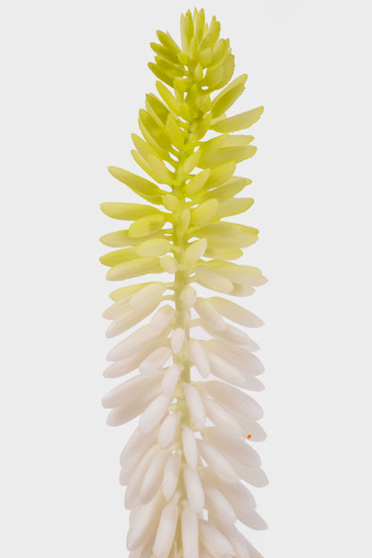 33" Artificial Aloe Vera Flower White