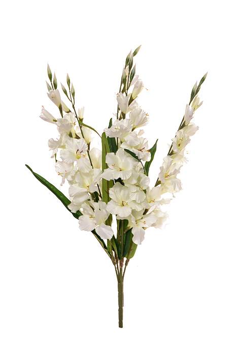 29" Satin Gladiolus Bush Cream