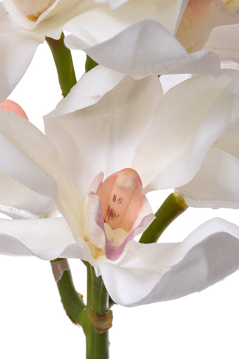 38" Silk Cymbidium Spray white