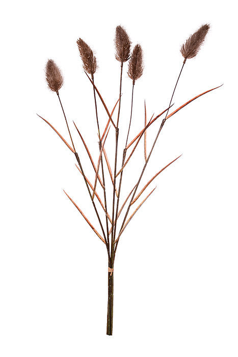 24" Foxtail Bundle Taupe
