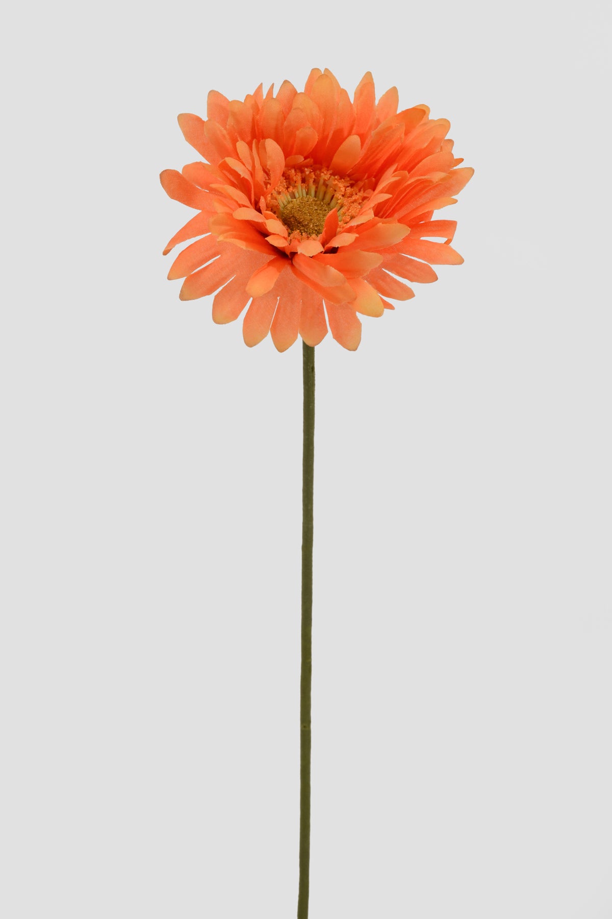 21" Silk Medium Gerber Daisy Spray Orange Pkg/12
