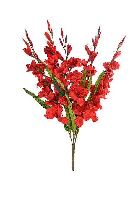 29" Satin Gladiolus Bush Red