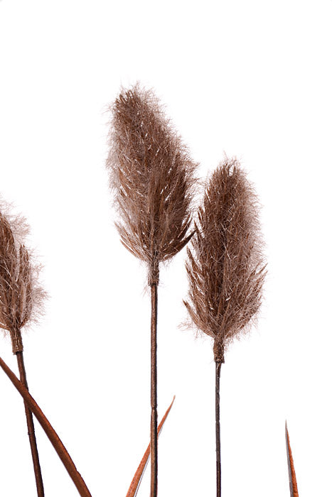 24" Foxtail Bundle Taupe