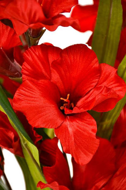 29" Satin Gladiolus Bush Red