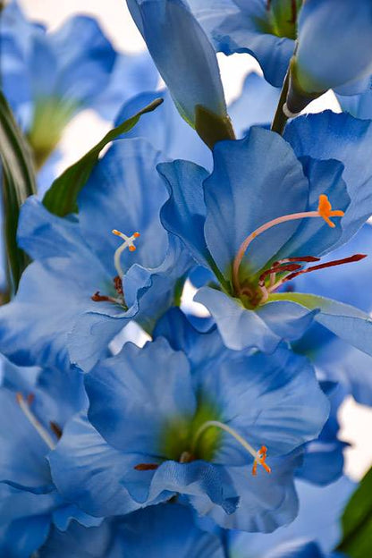 29" Satin Gladiolus Bush Blue