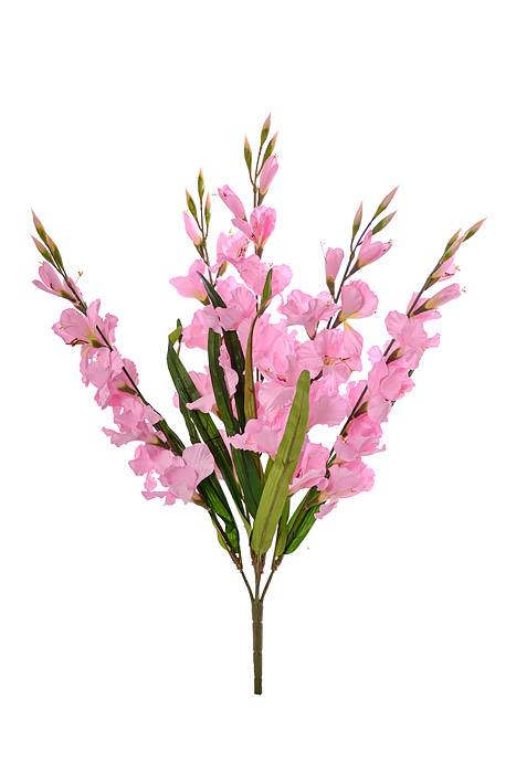 29" Satin Gladiolus Bush Pink