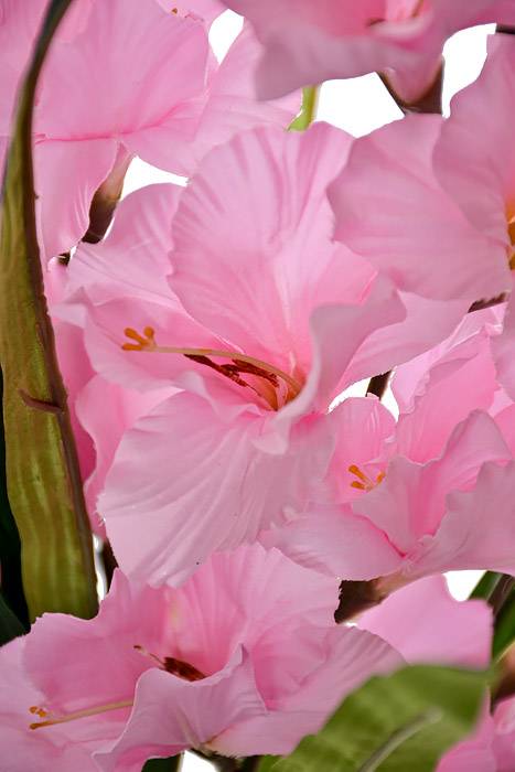 29" Satin Gladiolus Bush Pink