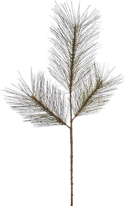 30" Sugar Pine Pick Green