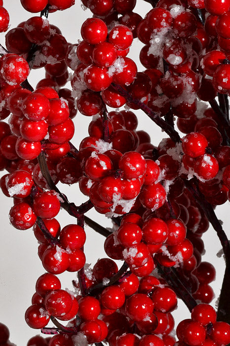 28" Berry Tree W/Snow In a Pot Red