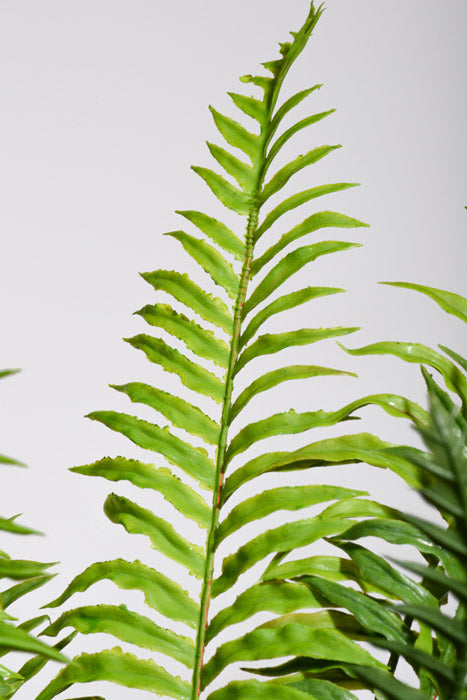 29" Real Touch Ruffle Fern Green