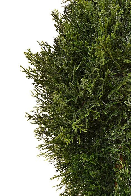 6Ft Spiral Cedar Topiary in a Pot Green