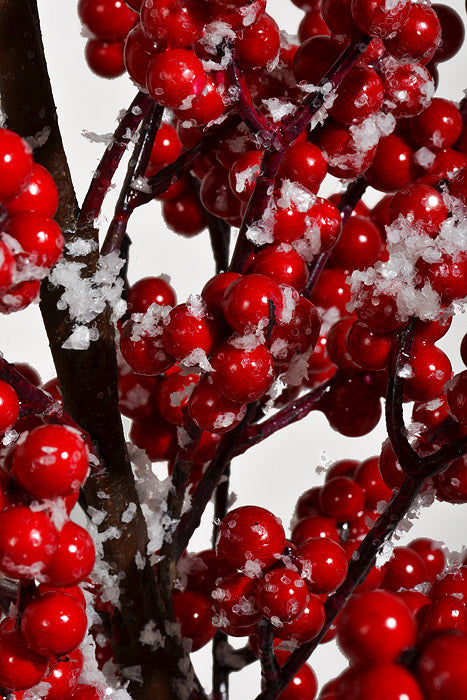 38" Berry Tree W/Snow In a Pot Red