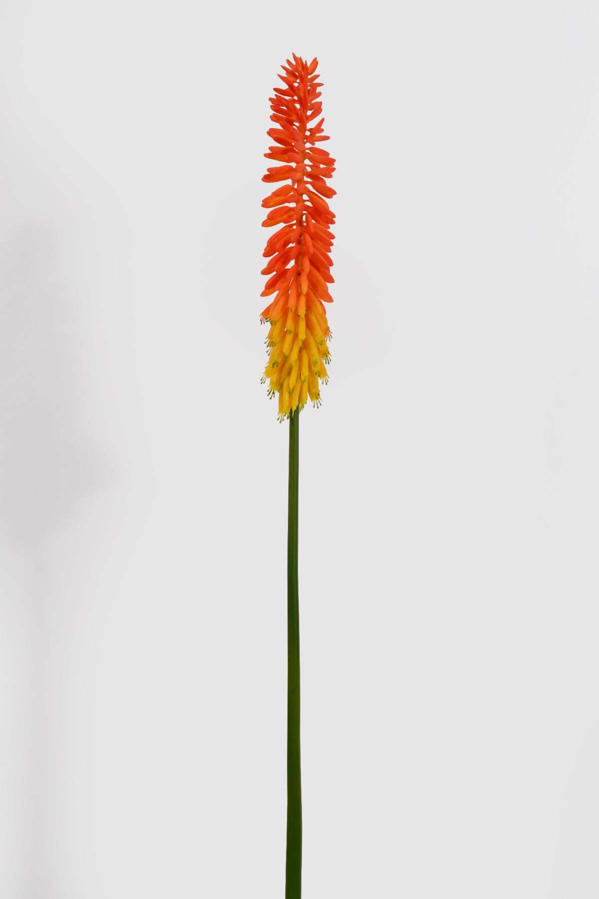 33" Artificial Aloe Vera Flower Orange
