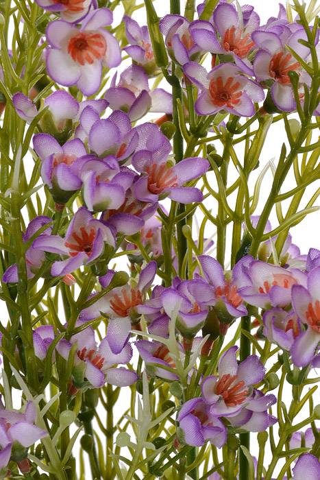 19&quot; Waxflowers Bush Lavender