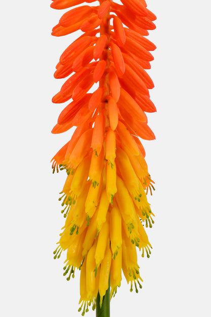 33" Artificial Aloe Vera Flower Orange