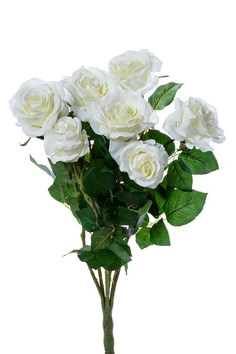 21.5" Conf.rose Bush X7 Cream