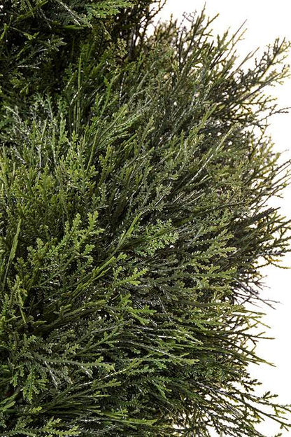 5Ft Spiral Cedar Topiary in a Pot Green