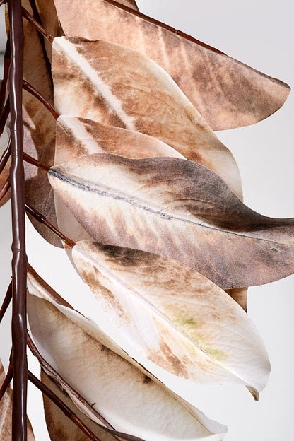 48" Autumn Magnolia Leaf Garland Cream/Brown