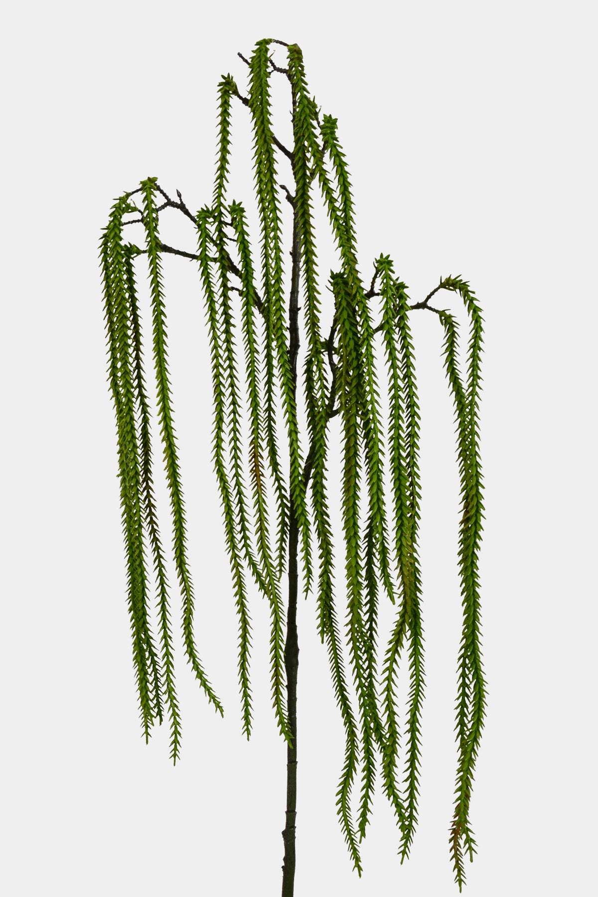49" Hanging Willow Spray Green